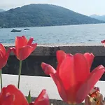 Lake's Dream *