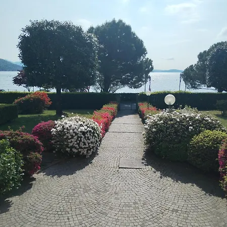 Lake's Dream