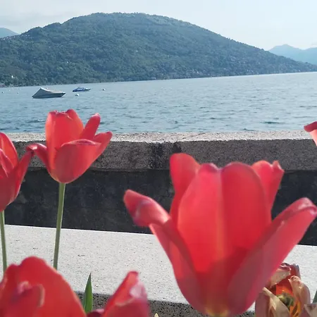 Lake's Dream *
