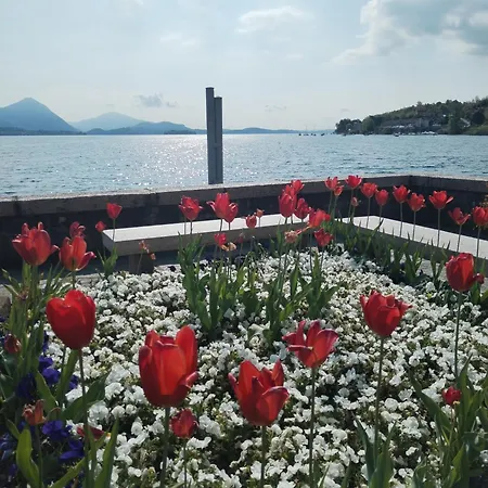 Lake's Dream * Feriolo